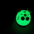 NL112  Tiger silicone LED Night light