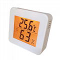 TH13B  Digital indoor Hgyrometer