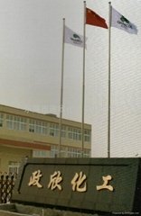 Donggang ZhenXin Chemical Co., Ltd.