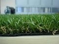 landsacaping turf 25mm 1