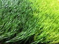 Soccer Field Grass 50mm