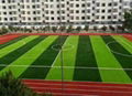 Soccer Field Grass 50mm 3