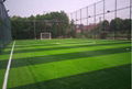 Soccer Field Grass 50mm 4