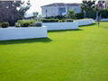 Artificial Lawn 45mm 3