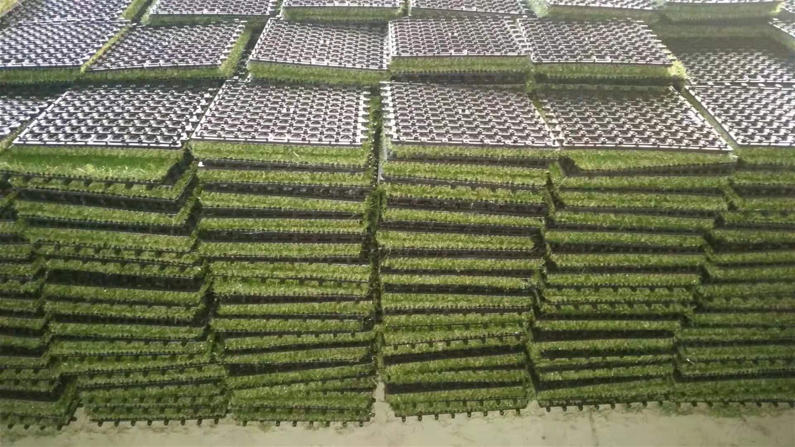 Interlock Grass Tiles 25mm 4