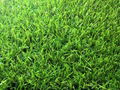 All Green Grass 26mm