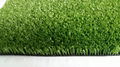 Commercial Grass 10mm 2x5M