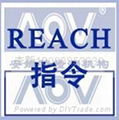 REACH测试 1