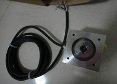 Baumer Thalheim encoder