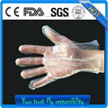 HDPE LDPE disposable PE gloves 1