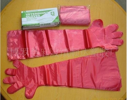 HDPE LDPE disposable PE gloves 4