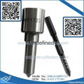 Dsla140p1723 Common Rail Nozzle for