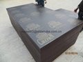 CROWN film faced plywood building and construction plywood 2