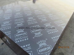 KINGPLEX BRAND FILM FACED PLYWOOD marine plywood