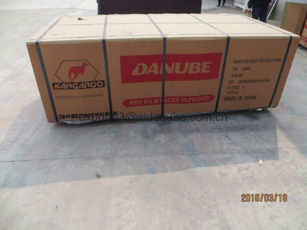  KANGAROO BRAND FILM FACED PLYWOOD made in china 5