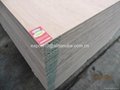 Commercial plywood with Kingdo brand 3