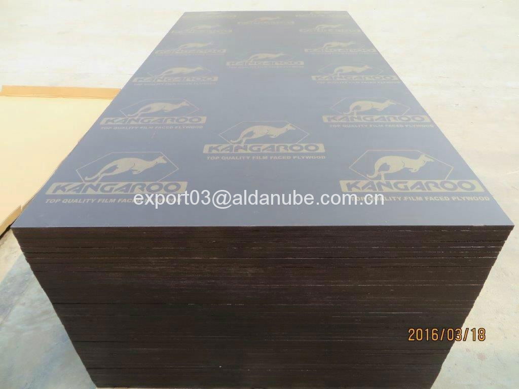 Brown film faced plywood with Kangaroo brand 2