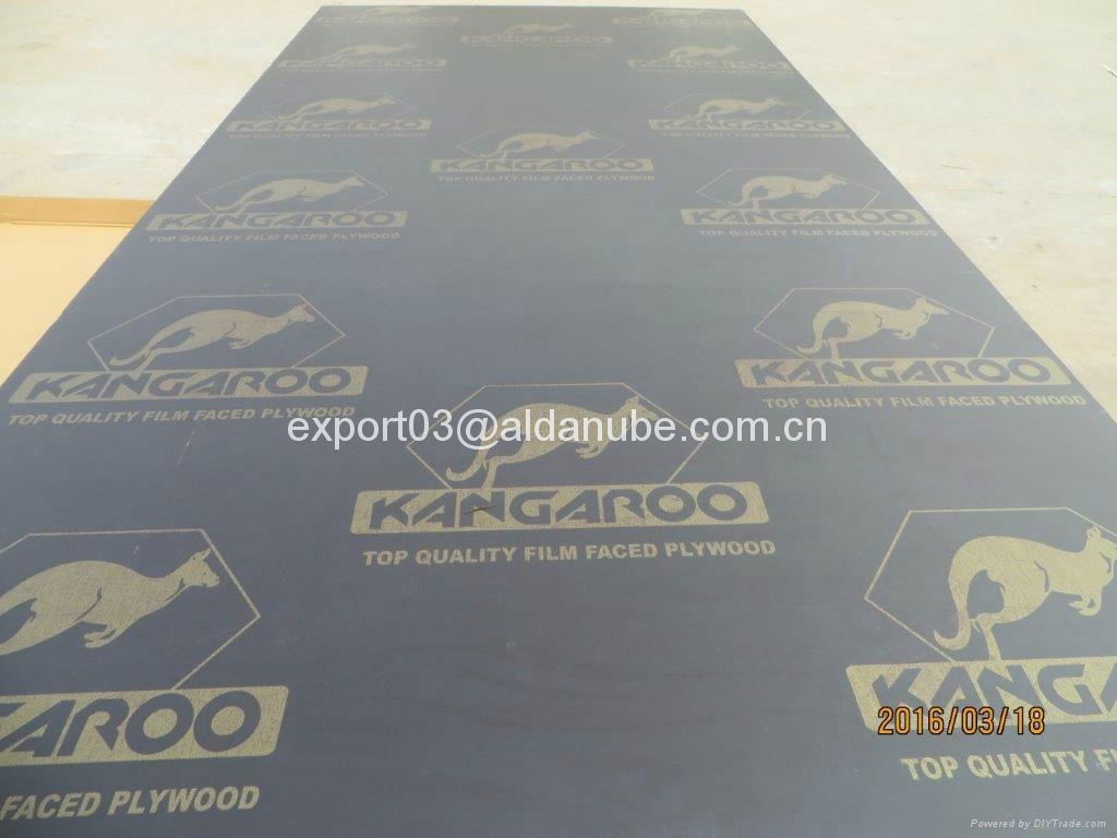 Brown film faced plywood with Kangaroo brand 3