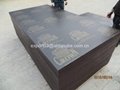 Brown film faced plywood with Crown