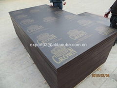 Brown film faced plywood with Crown brand