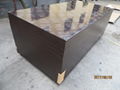 KINGPLEX BRAND FILM FACED PLYWOOD marine plywood