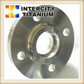 Gr2 Titanium Flange