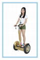 China new product 2 wheel electric scooter electric green power 3