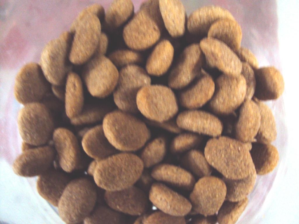 双螺杆宠物饲料加工设备生产线 3