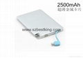 Custom Logo Aluminum Case Card Design 2500mAh Power Bank