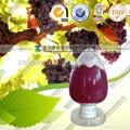 Natural 95% OPC Grape Seed Extract 1
