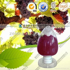 Natural 95% OPC Grape Seed Extract