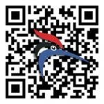 深圳啄木鸟电子科技有限公司