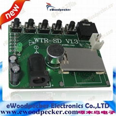 Recordable Sound Module(TVRSD)