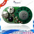 Light Sensor Voice Module 1