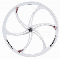 Mountain bike magnesium alloy wheels