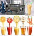 spiral type fruit juicer  0086 18703616827 1