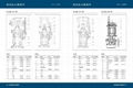 不锈钢潜水电泵 4