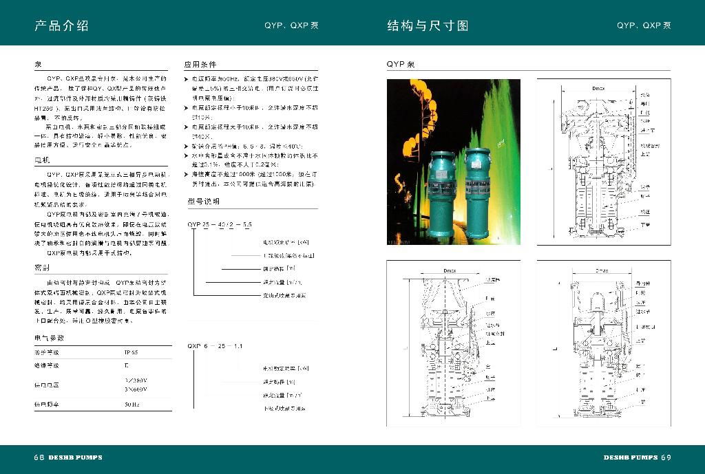 充油式喷泉专用潜水电泵 2