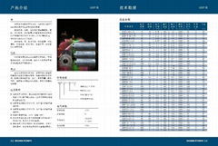 不锈钢喷泉专用泵