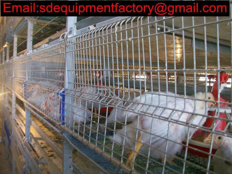 SD A & H type laying chicken cage
