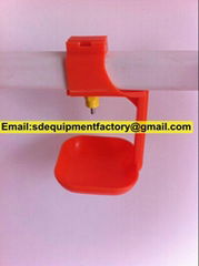 SD automatic poultry drinking line system