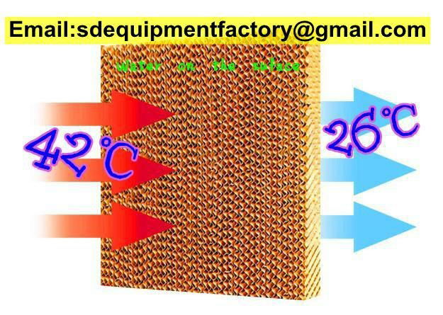 SD automatic poultry cooling pad system 2