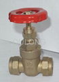 Brass gate valve 1