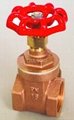 Brass gate valve 2