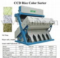 Rice Color sorter 1