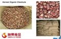 Quick Freezing Roasted Chestnut in Shell--300g/pack 5
