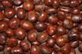 Quick Freezing Roasted Chestnuts in shell 5
