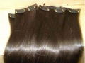 Clip-in Hair Extension 1