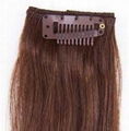 Clip-in Hair Extension 3