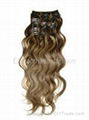 Clip-in Hair Extension 5